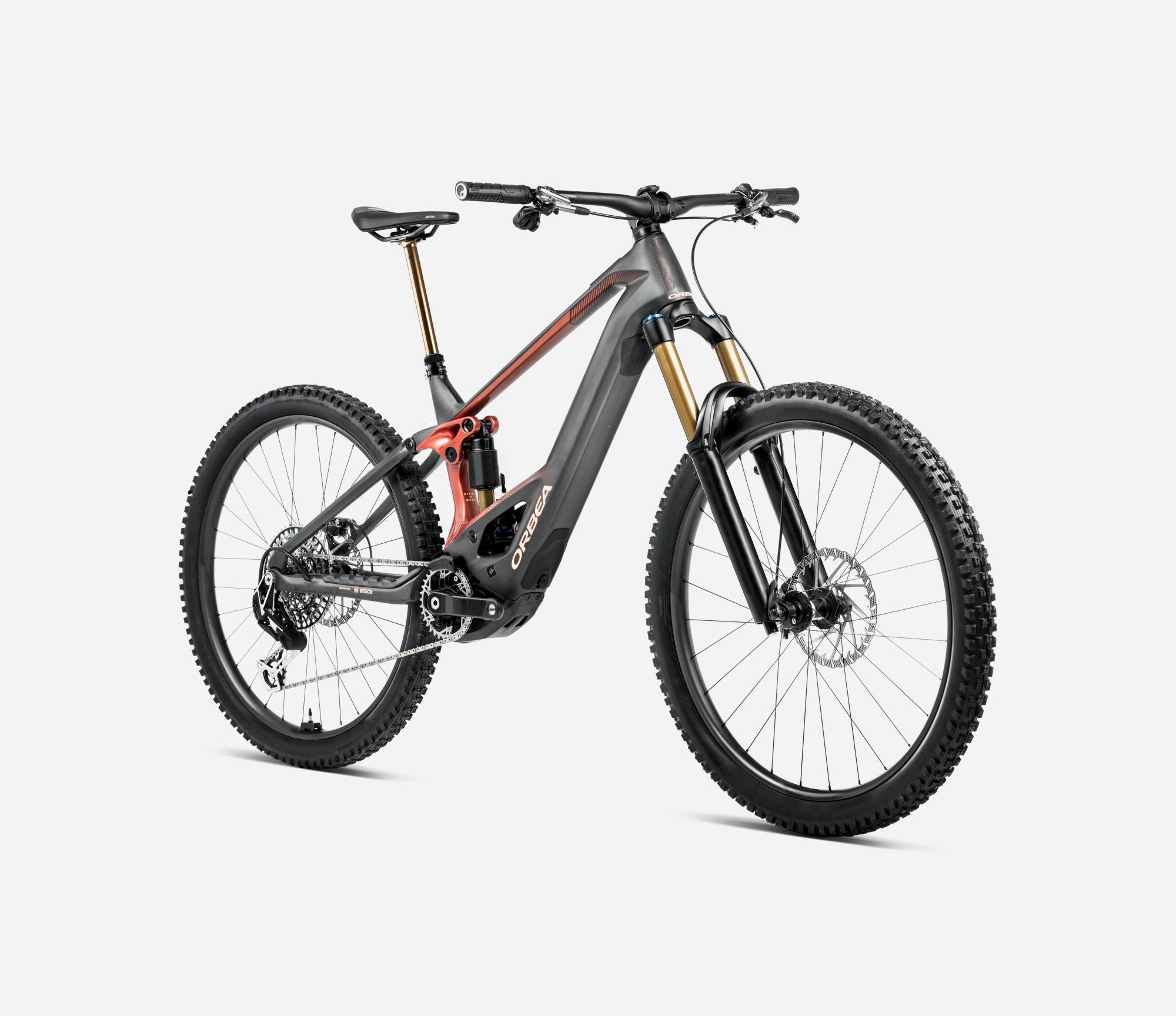 Orbea WILD M10 2025